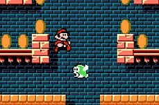 Mario and Luigi Coin Quest