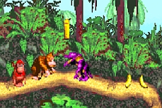 Donkey Kong Country GBA