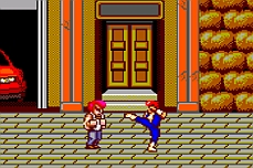 Double Dragon MS