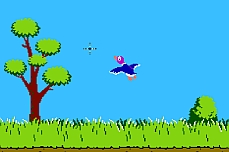 Duck Hunt