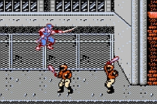 Ninja Gaiden