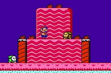 Super Mario 2 Wacky Quest