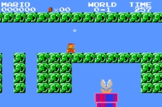 Super Mario Negative One