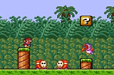 Super Mario Bros 2 Deluxe