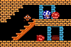 Toads Crazy Castle