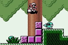 Wario Land 3