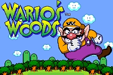 Warios Woods SNES